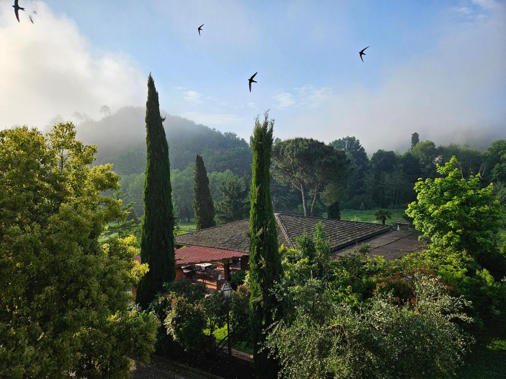 Villa Rigacci Реджелло Екстер'єр фото