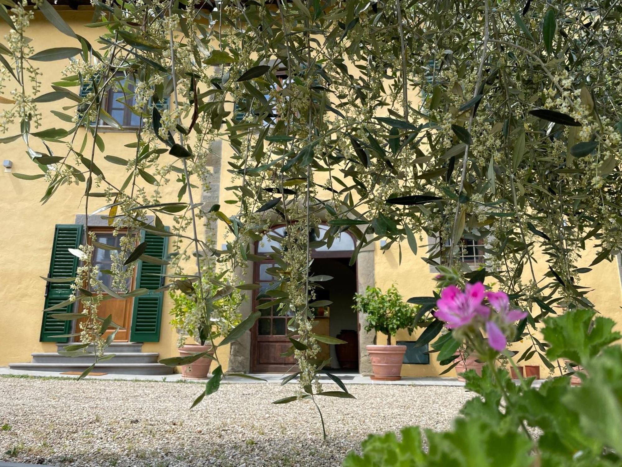 Villa Rigacci Реджелло Екстер'єр фото